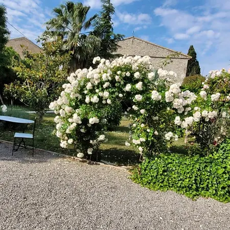 Villa La Les Parfums D'ete Ornaisons